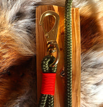 Load image into Gallery viewer, Carabiner Leash