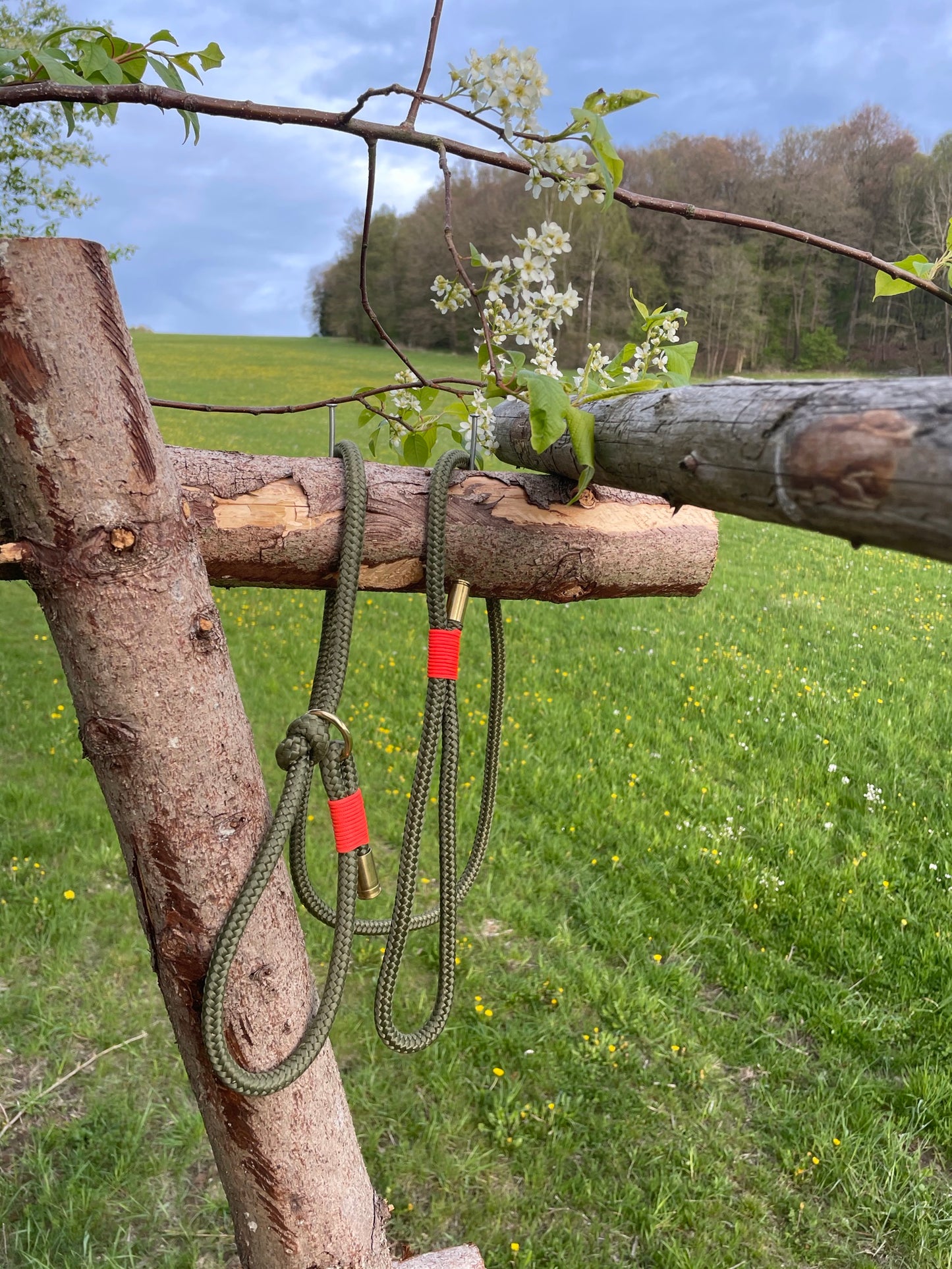 Leash With Collar