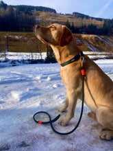 Load image into Gallery viewer, Carabiner Leash
