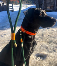 Load image into Gallery viewer, Carabiner Leash