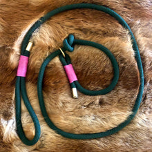 Load image into Gallery viewer, Leash With Collar