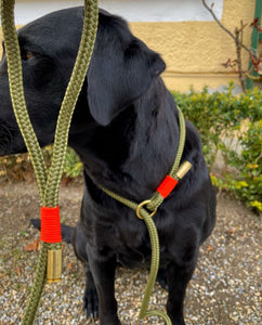Collar Leash