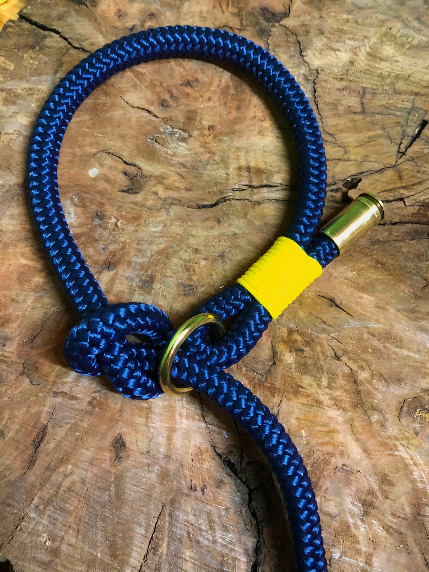 Leash With Collar