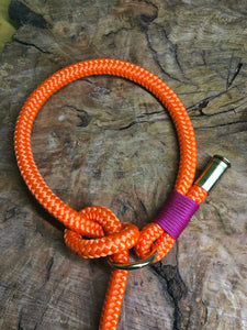 Collar Leash