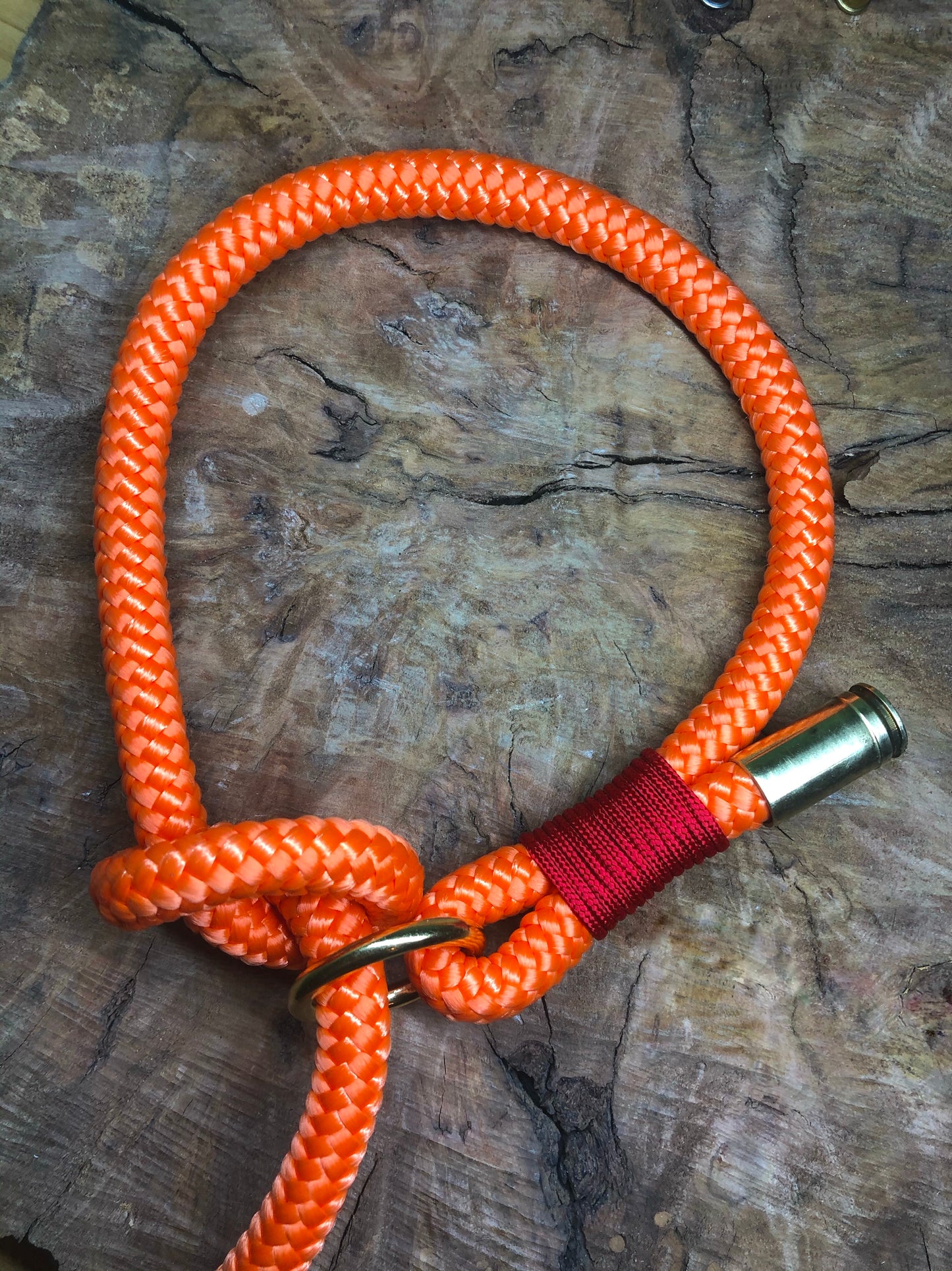 Leash With Collar