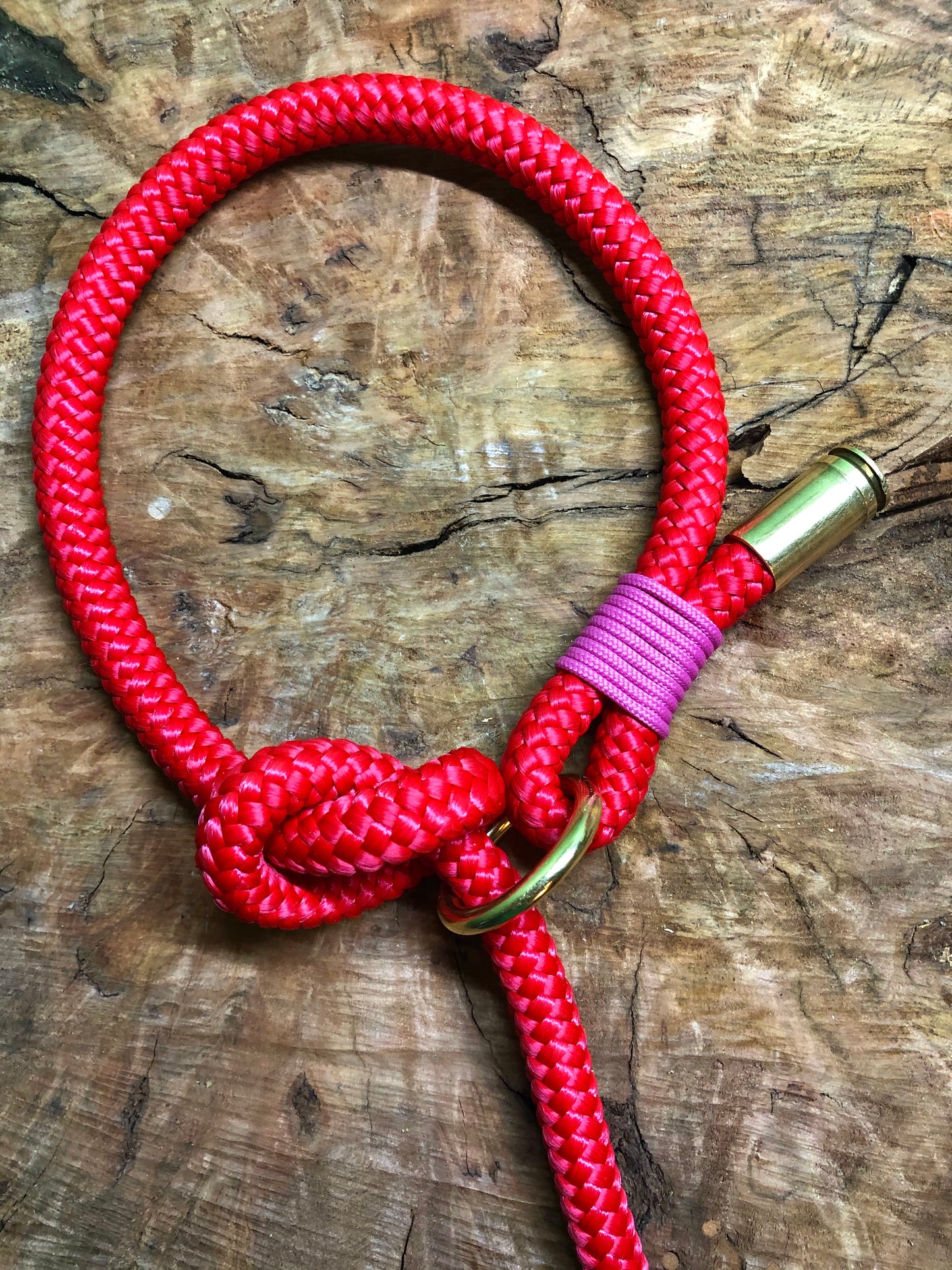 Leash With Collar