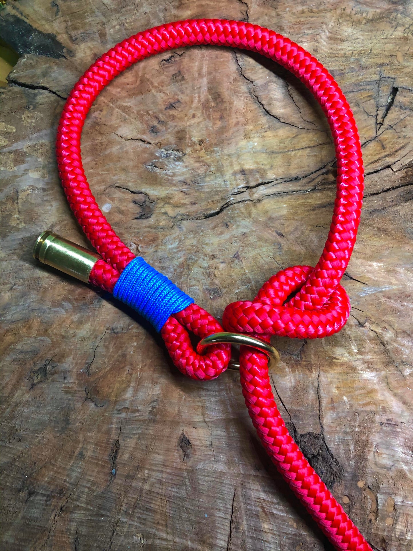 Leash With Collar