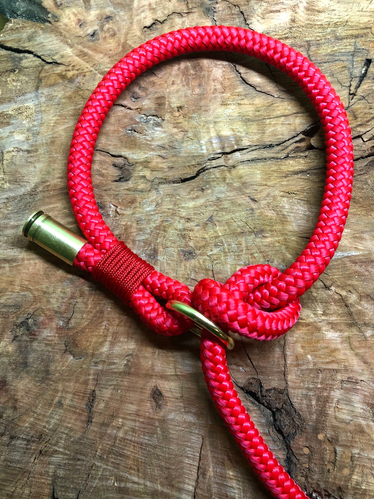 Leash With Collar