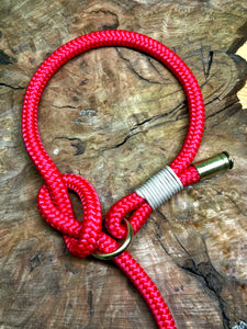 Leash With Collar