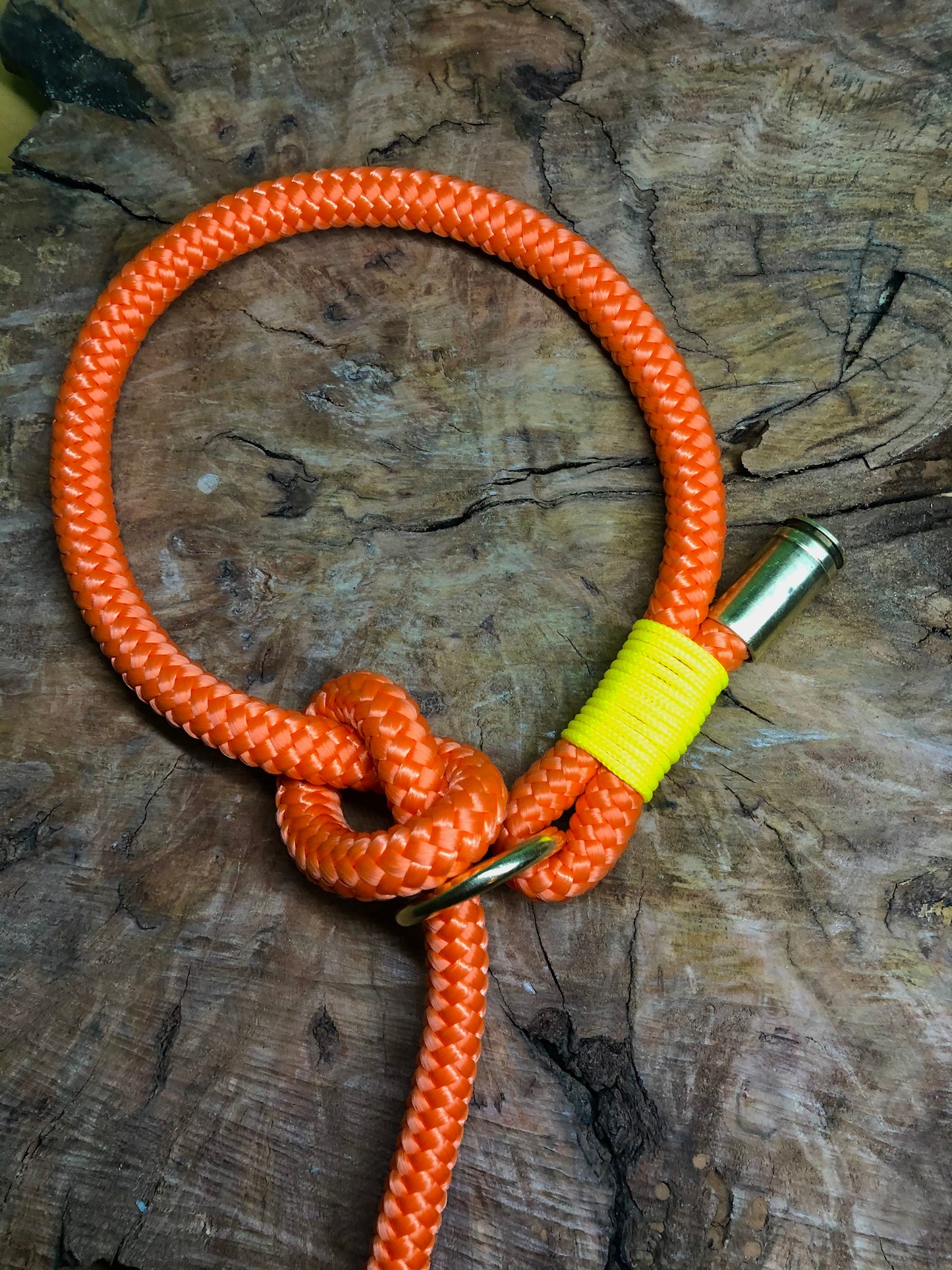Leash With Collar