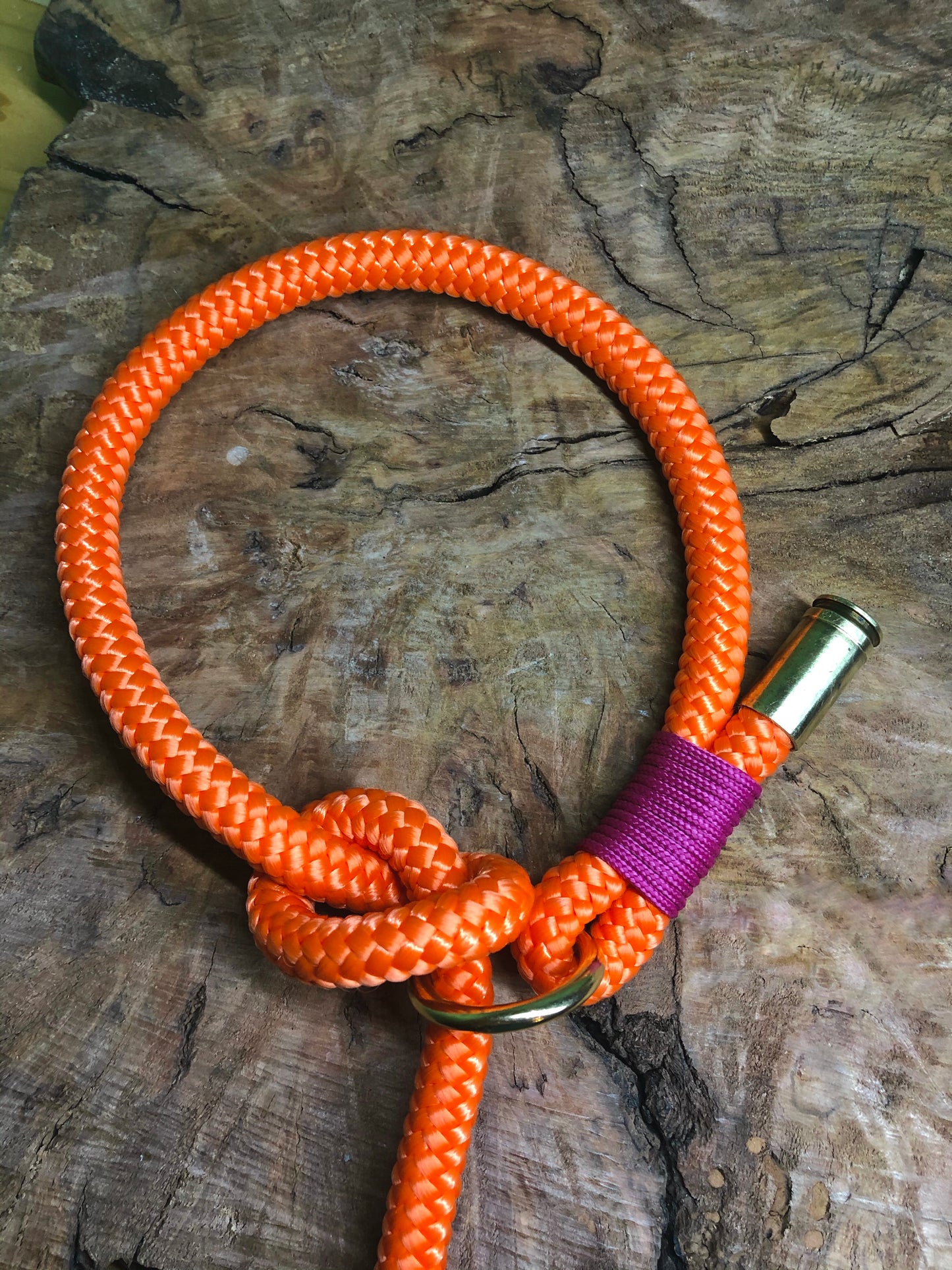 Leash With Collar