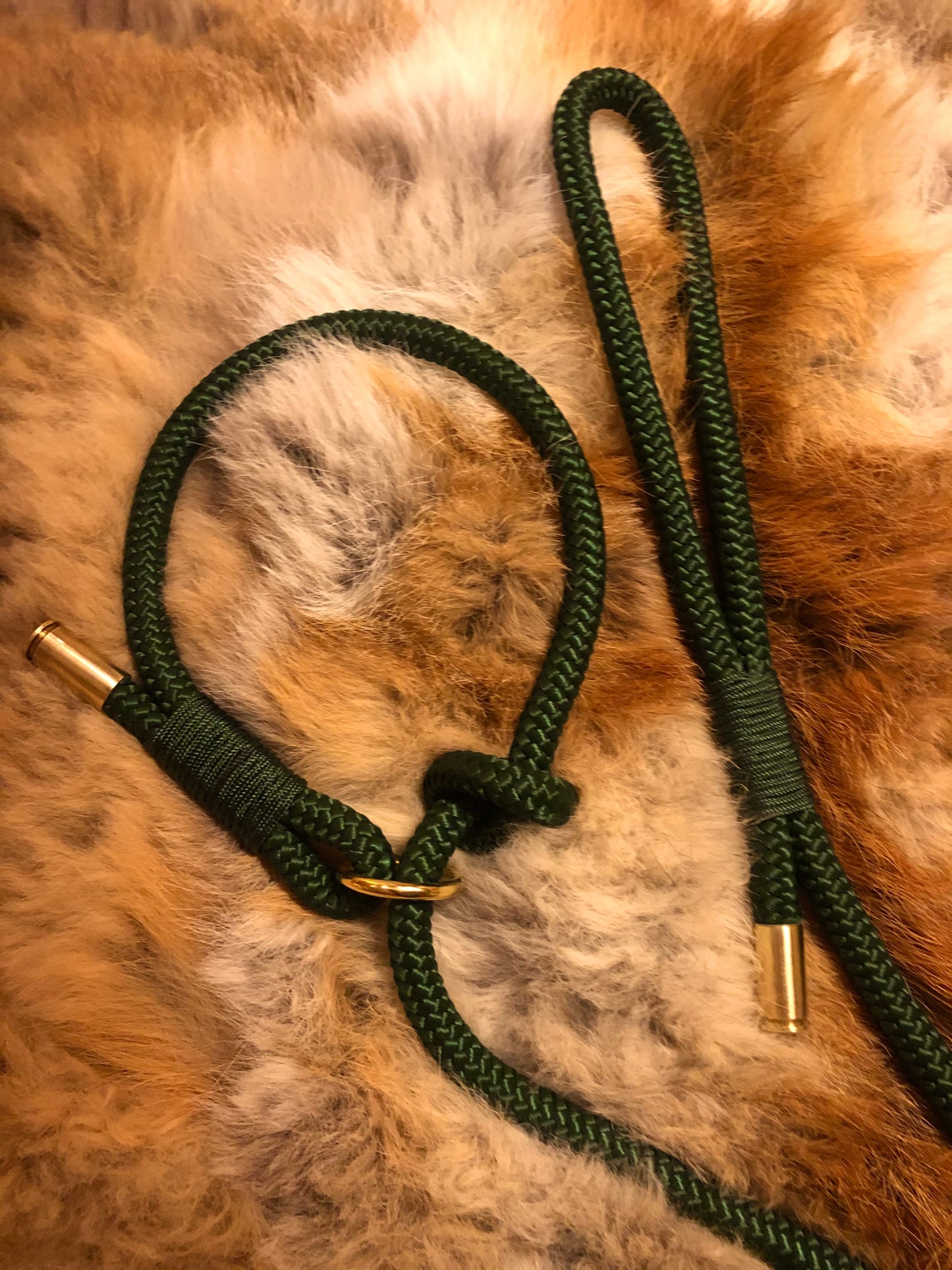 Leash With Collar