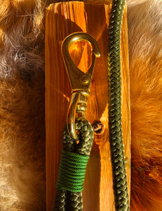 Carabiner Leash