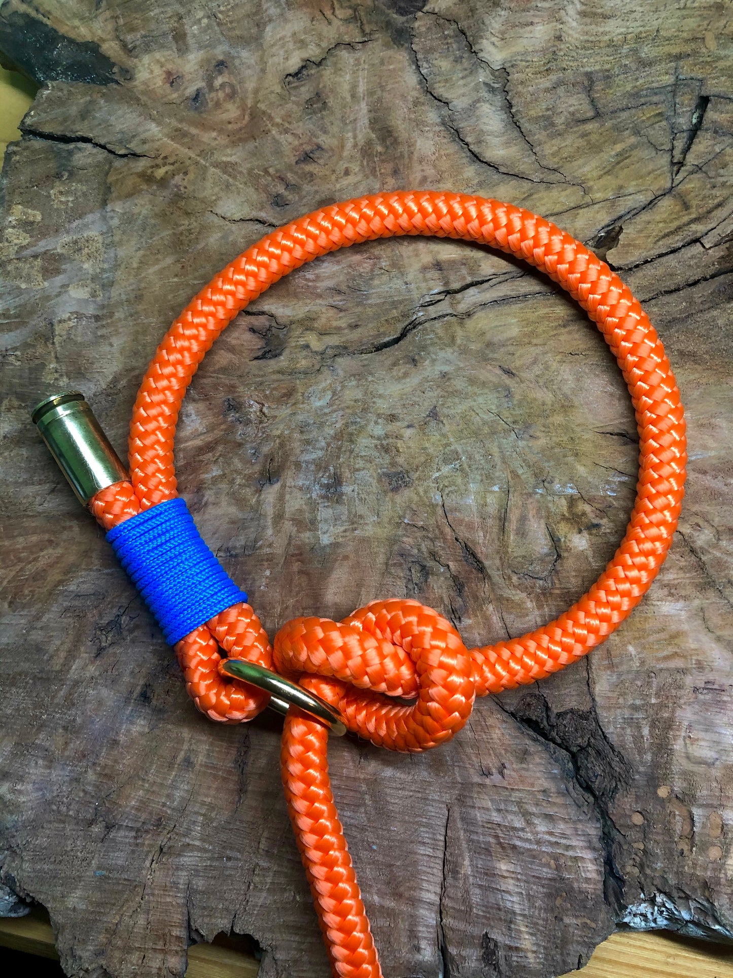 Leash With Collar