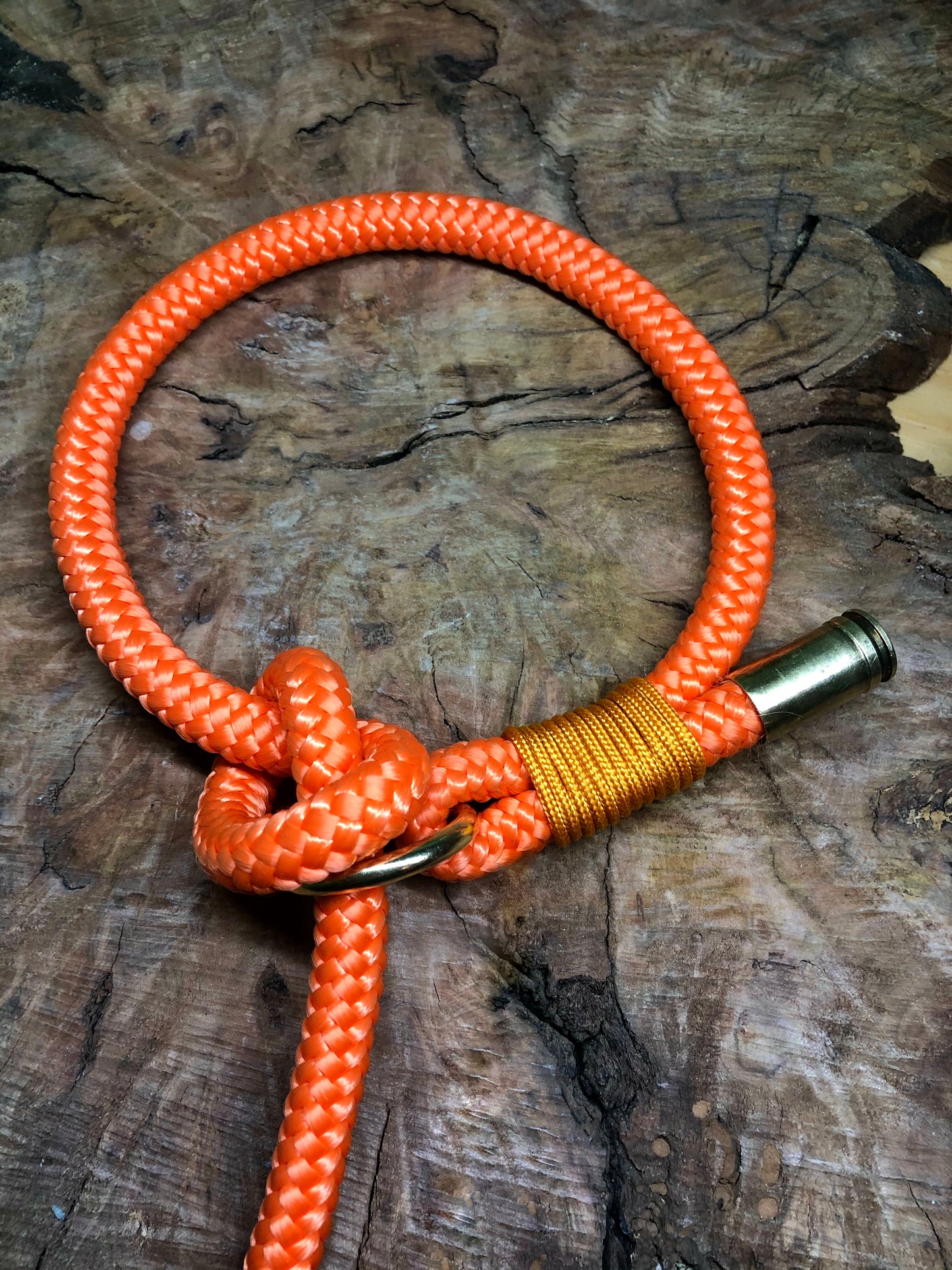 Leash With Collar