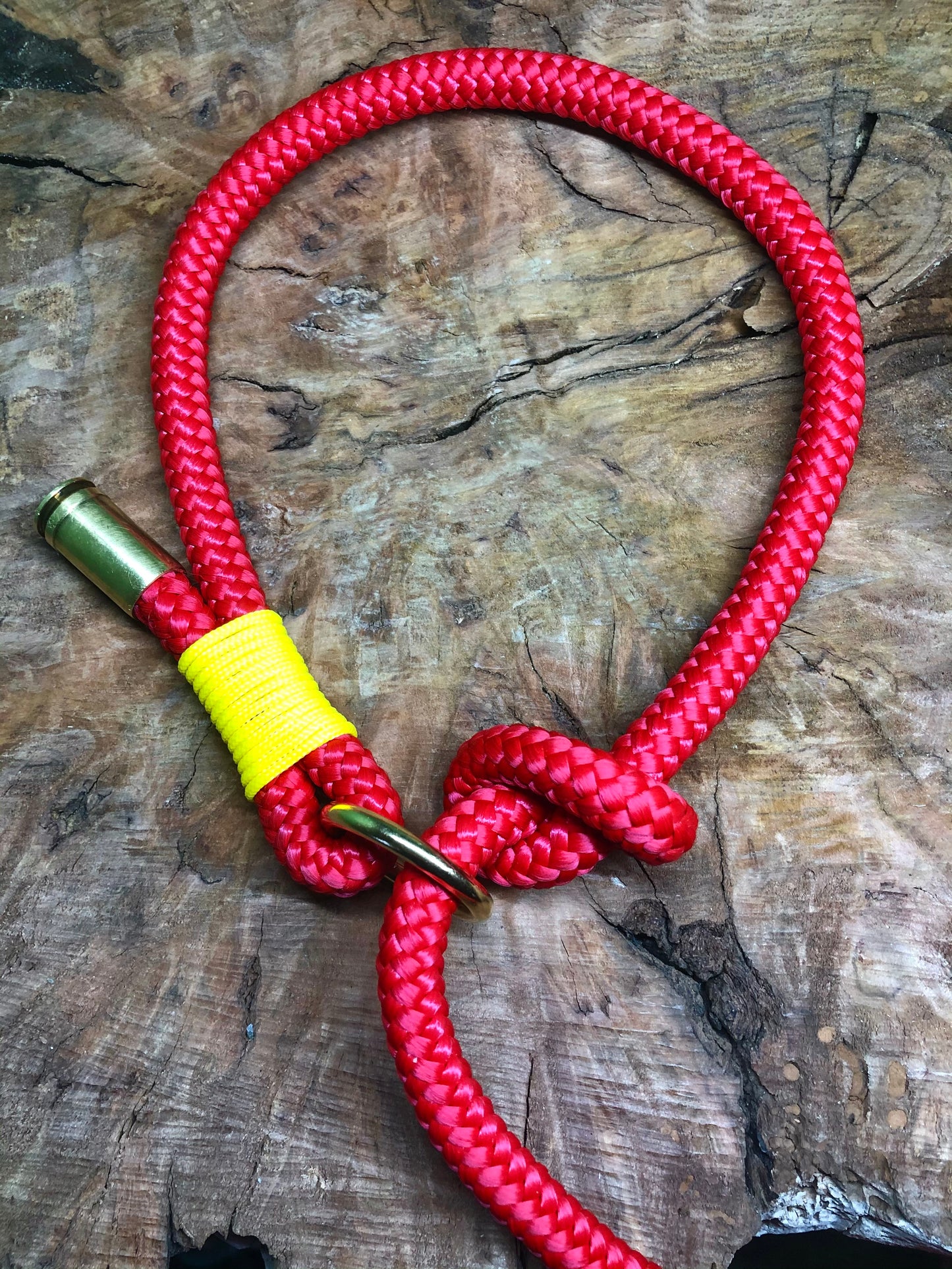 Leash With Collar