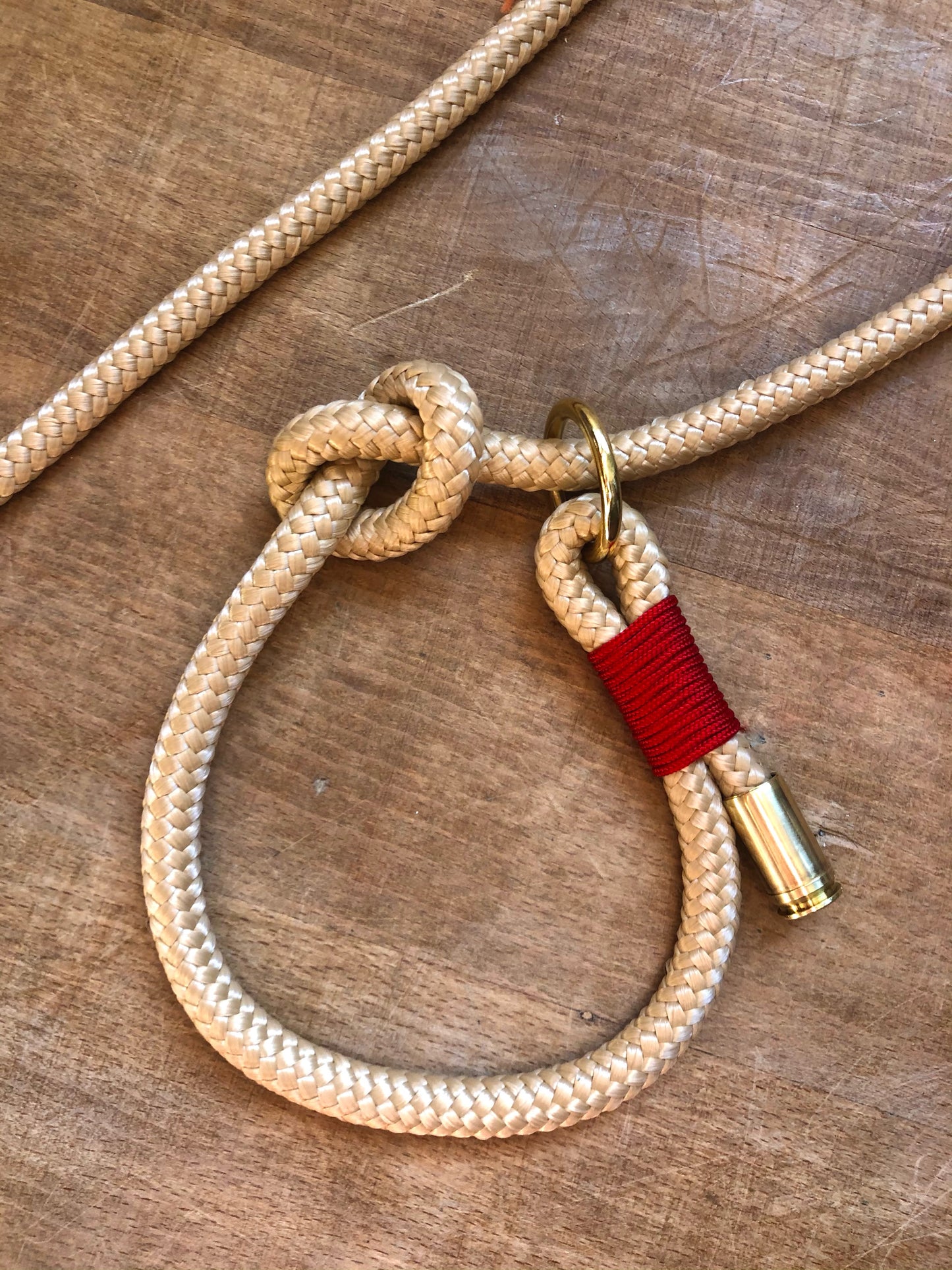 Leash With Collar