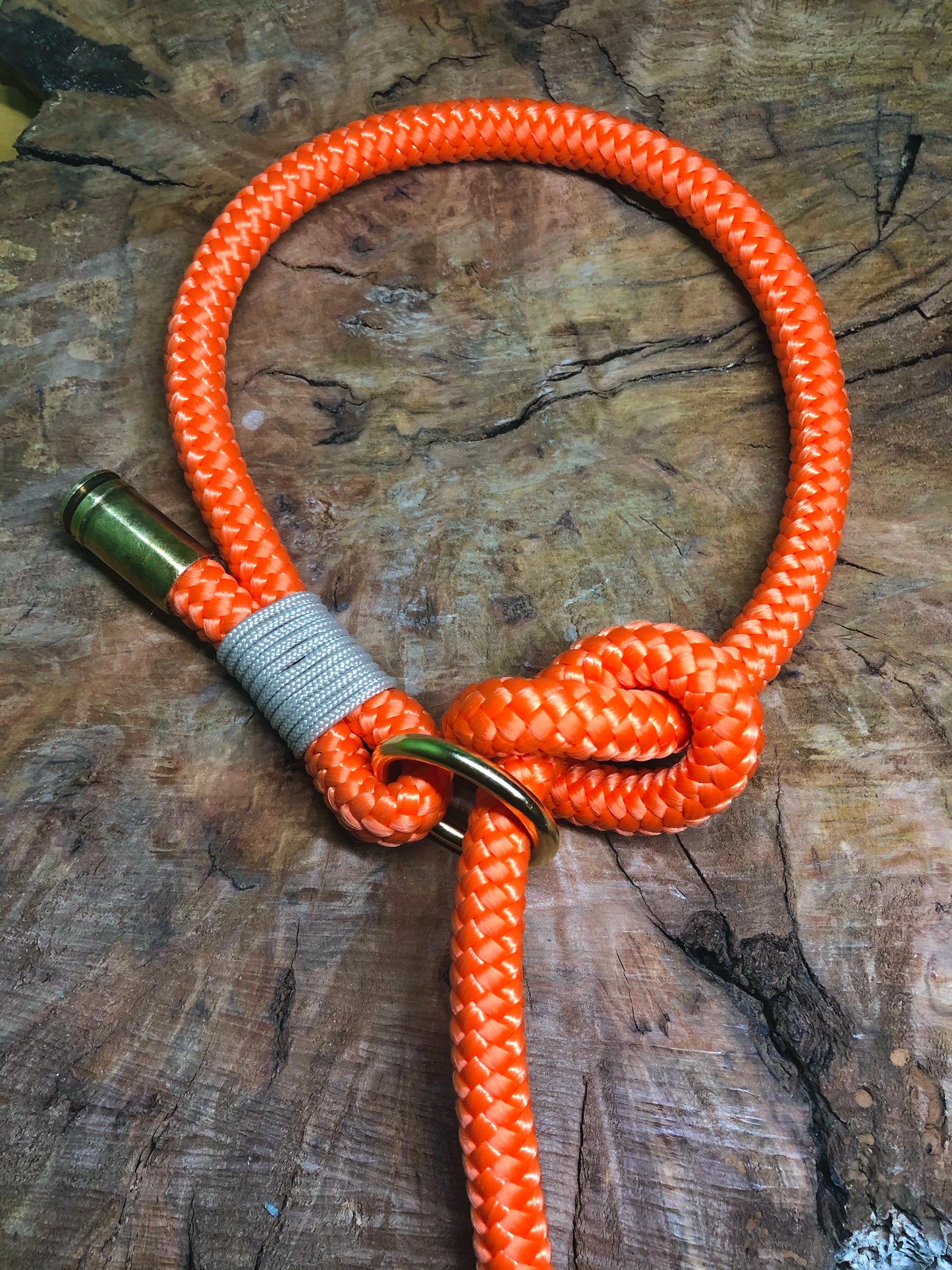 Leash With Collar
