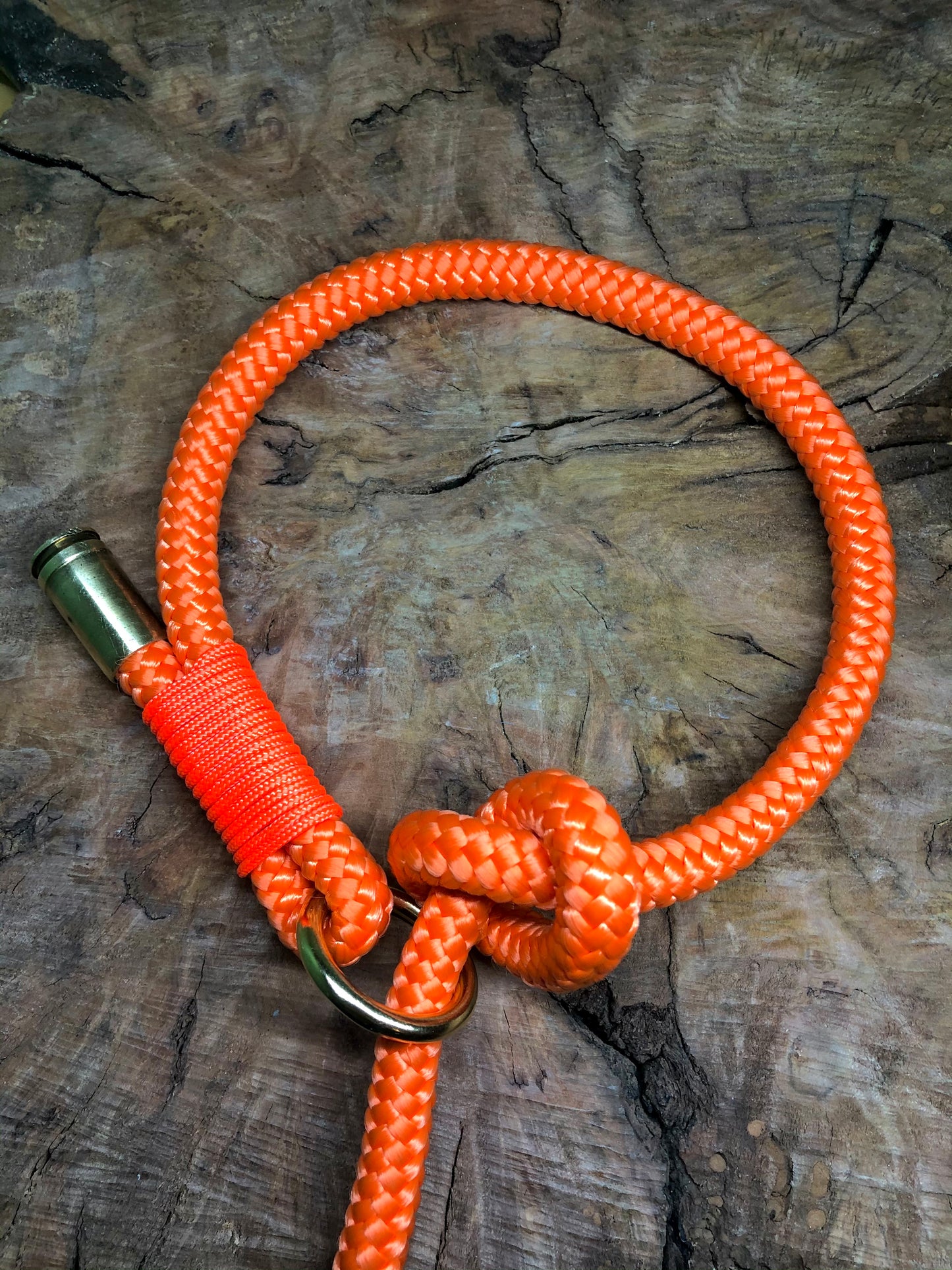 Leash With Collar