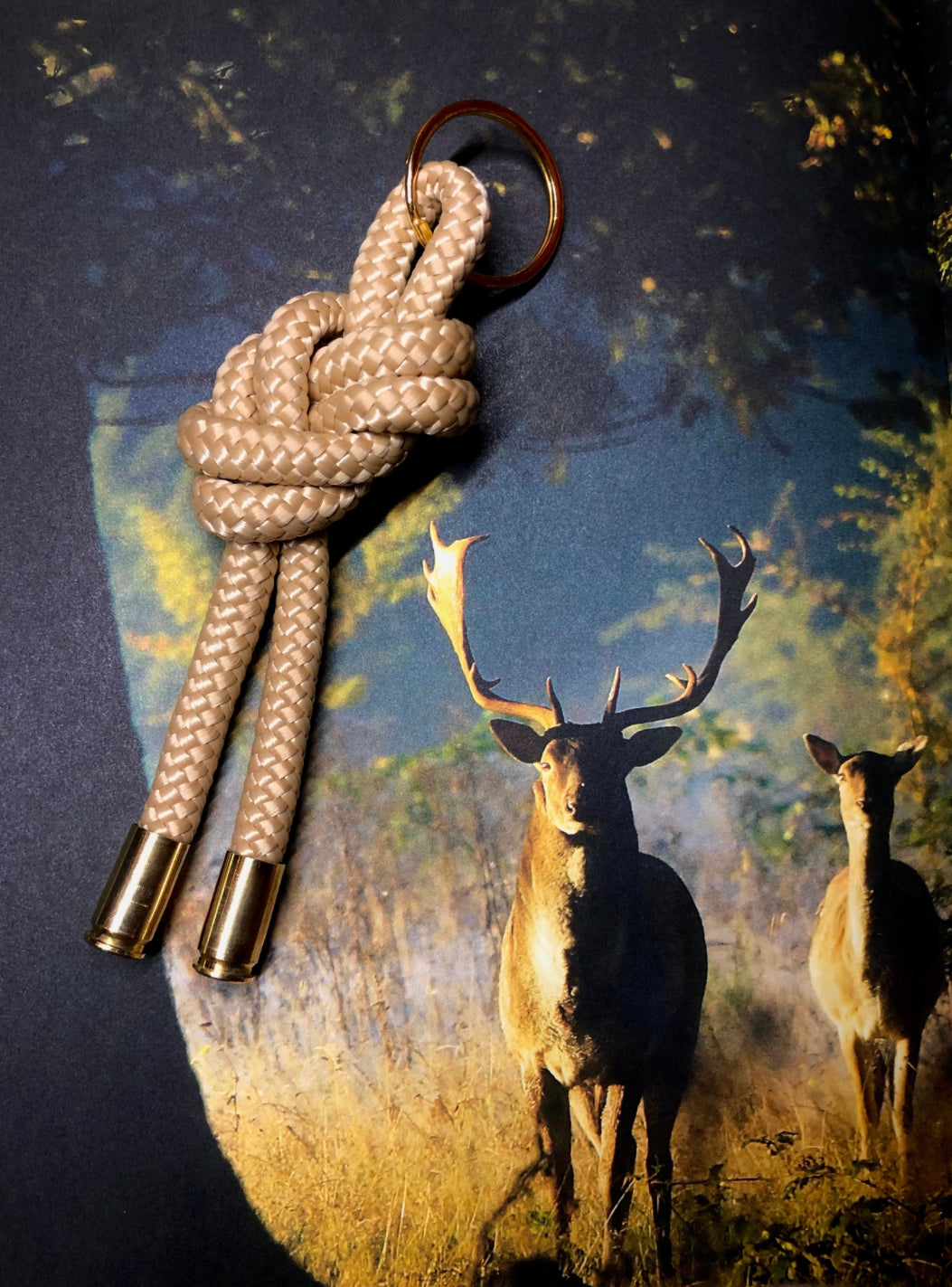 The Knotted Keychain