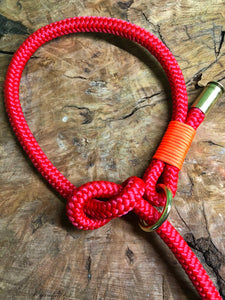 Leash With Collar