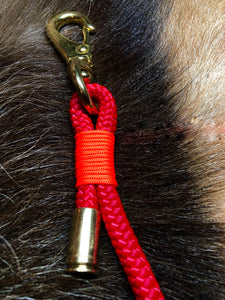 Carabiner Leash