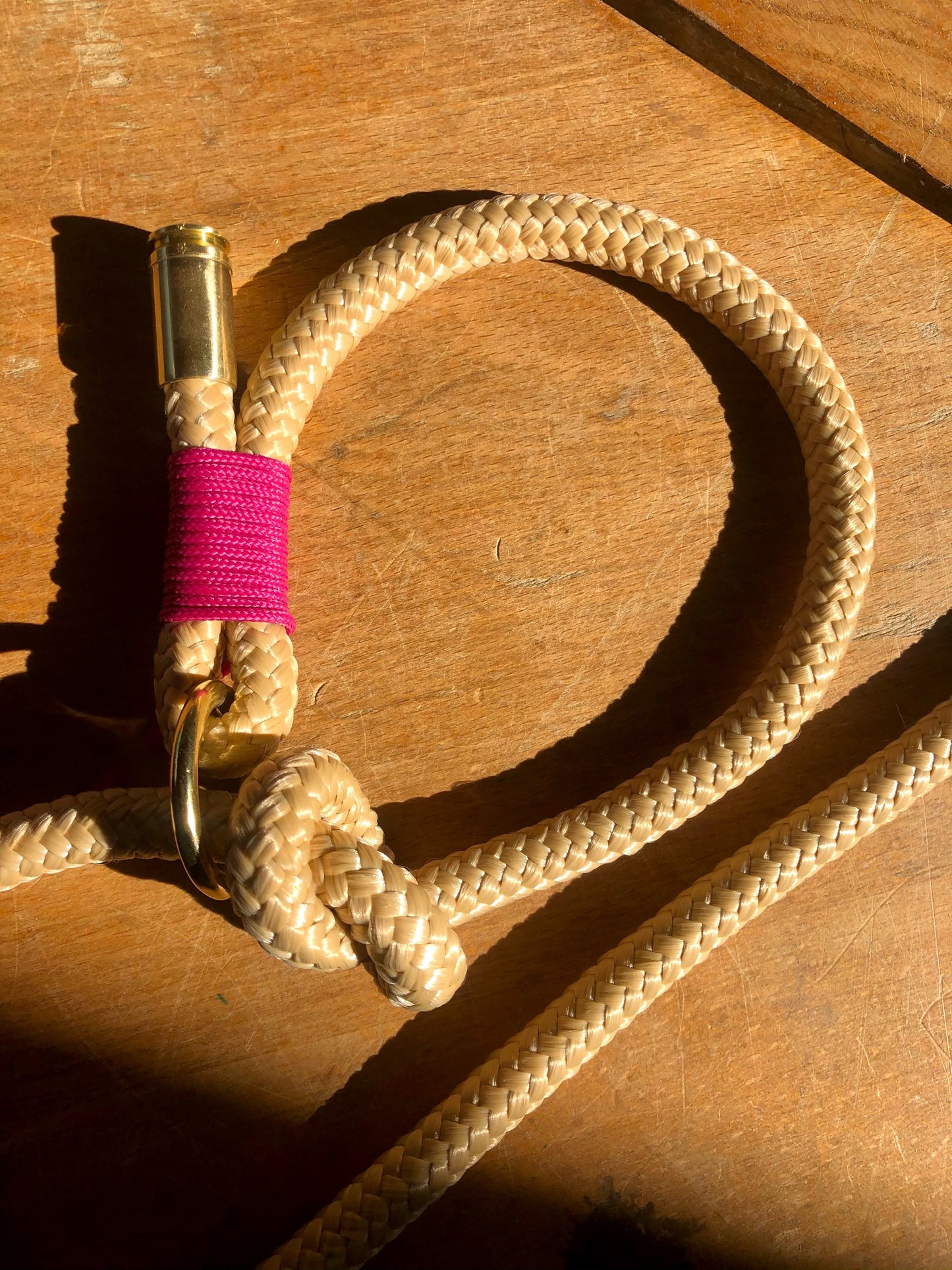 Leash With Collar