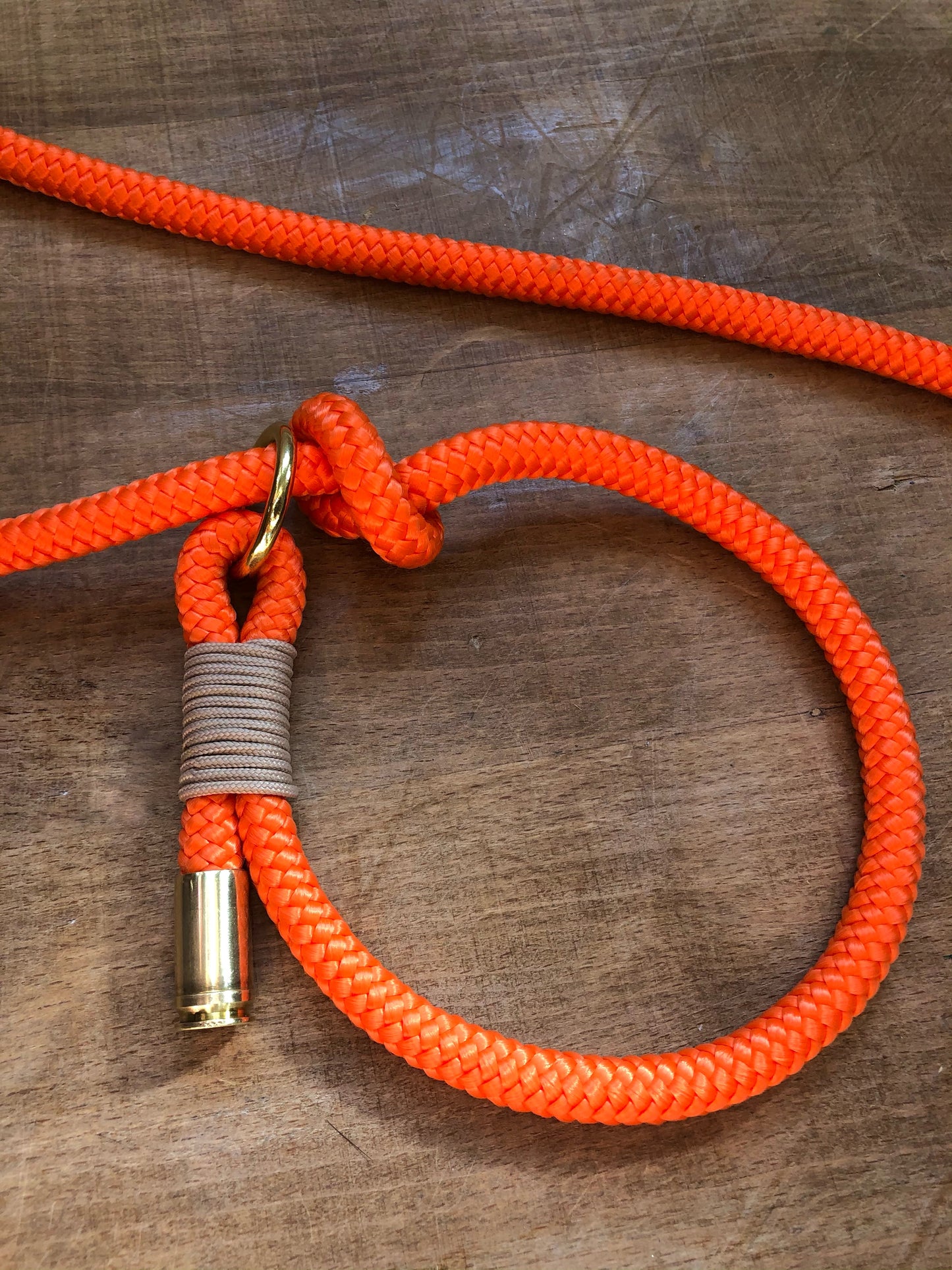 Leash With Collar