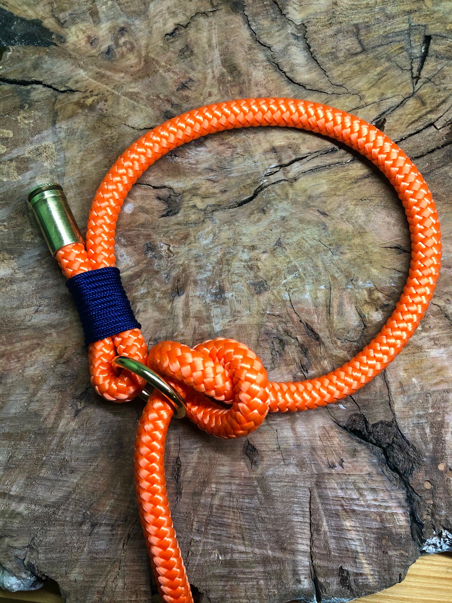 Leash With Collar