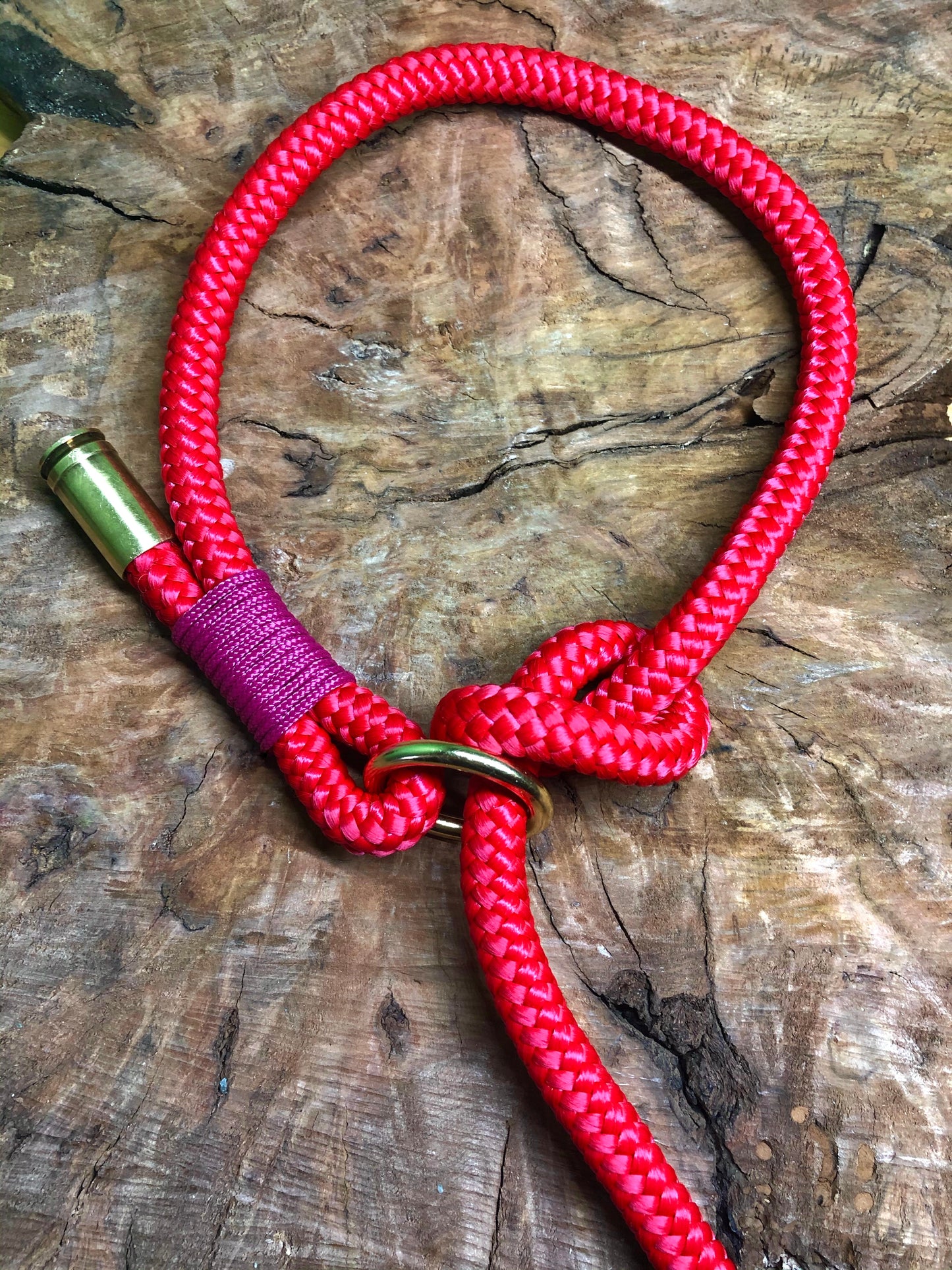 Leash With Collar