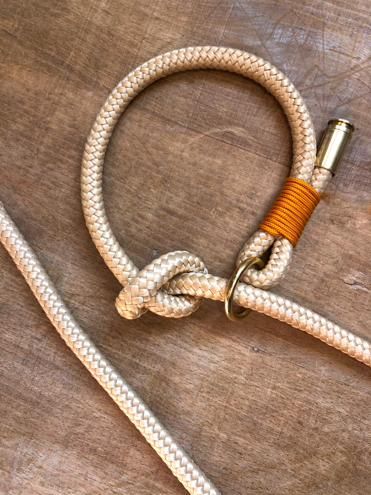 Carabiner Leash