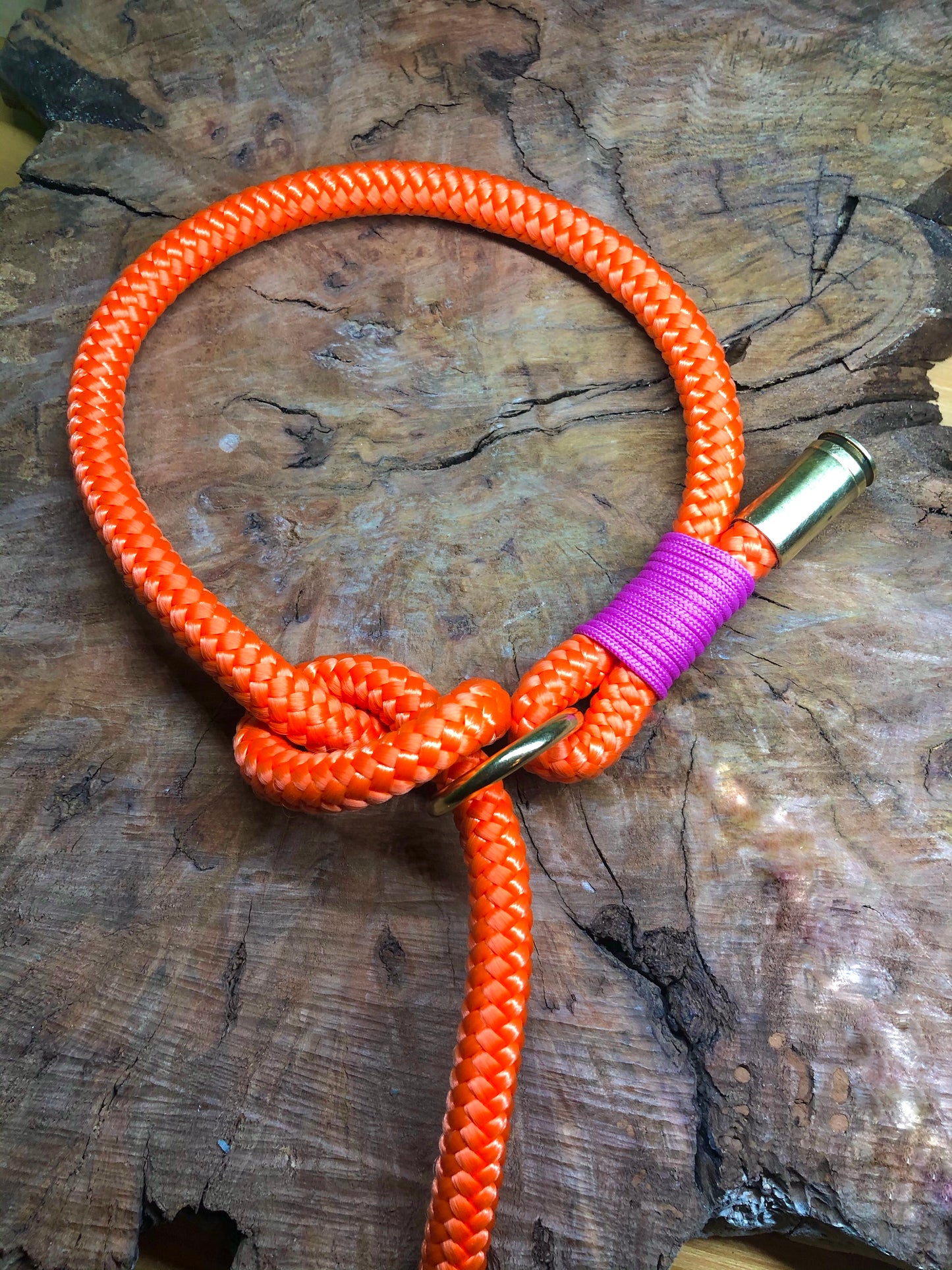 Leash With Collar