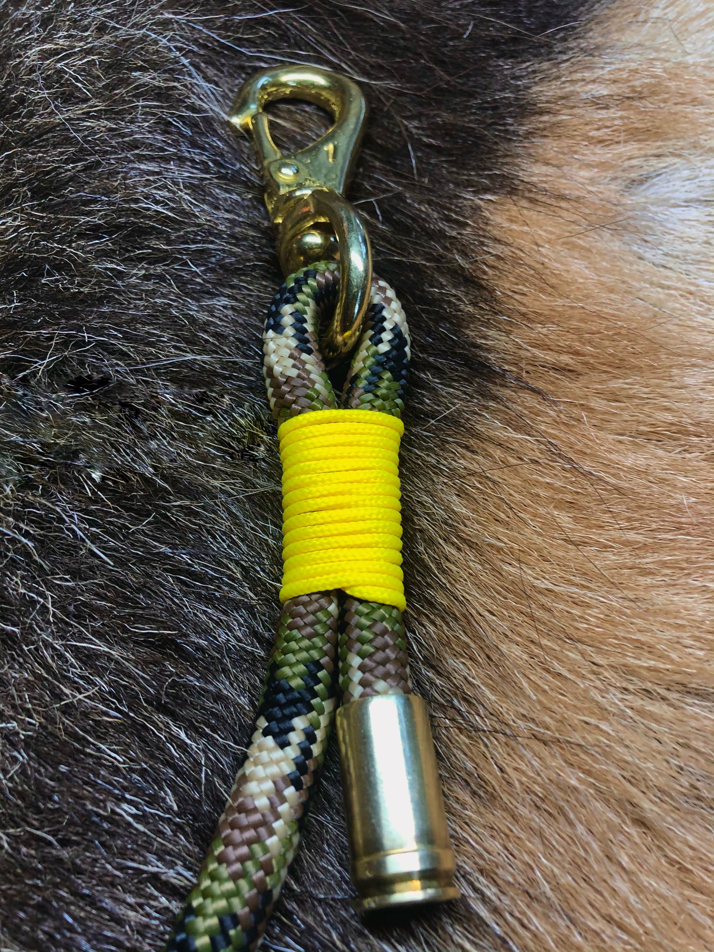 Carabiner Leash