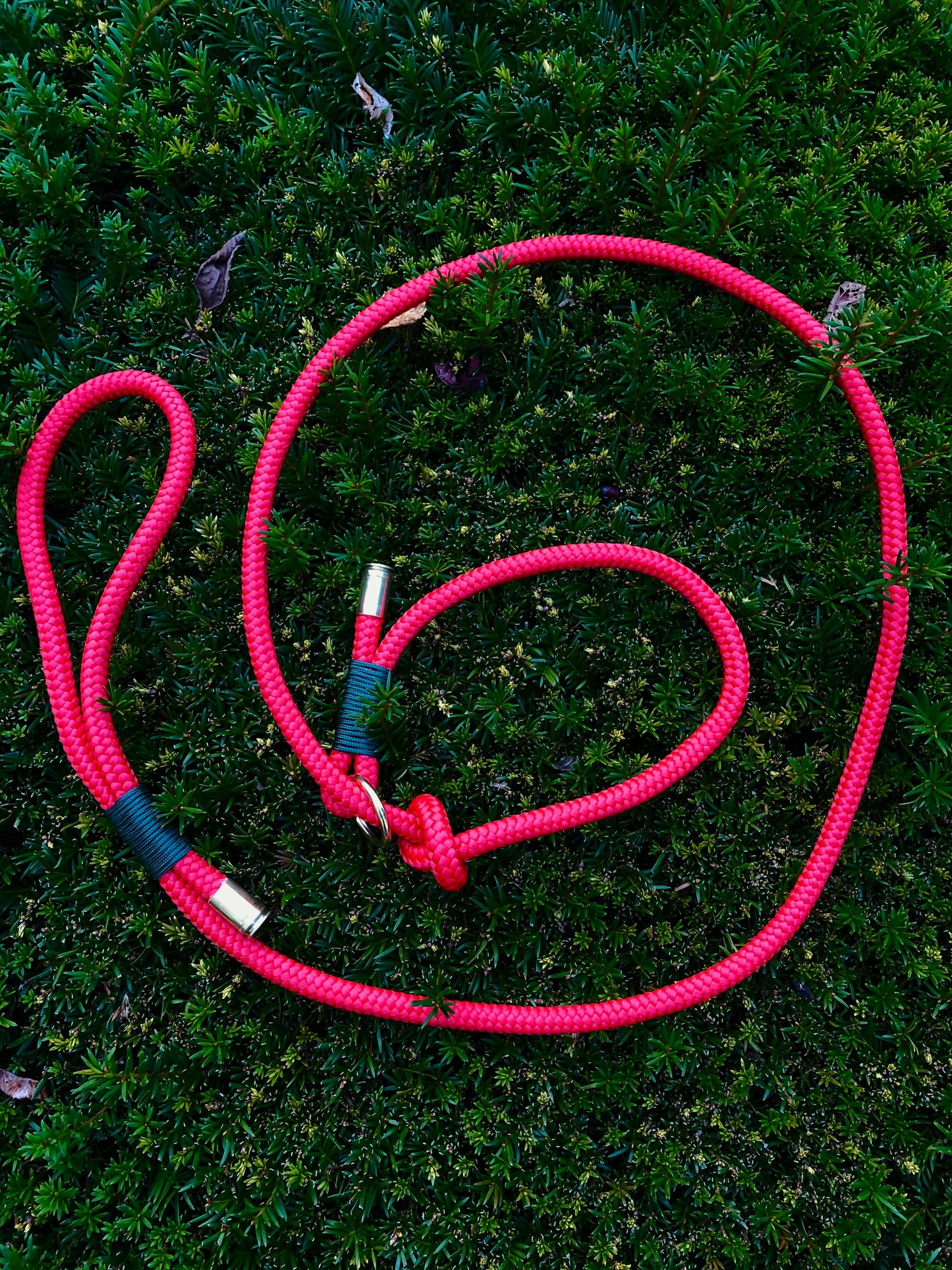 Leash With Collar