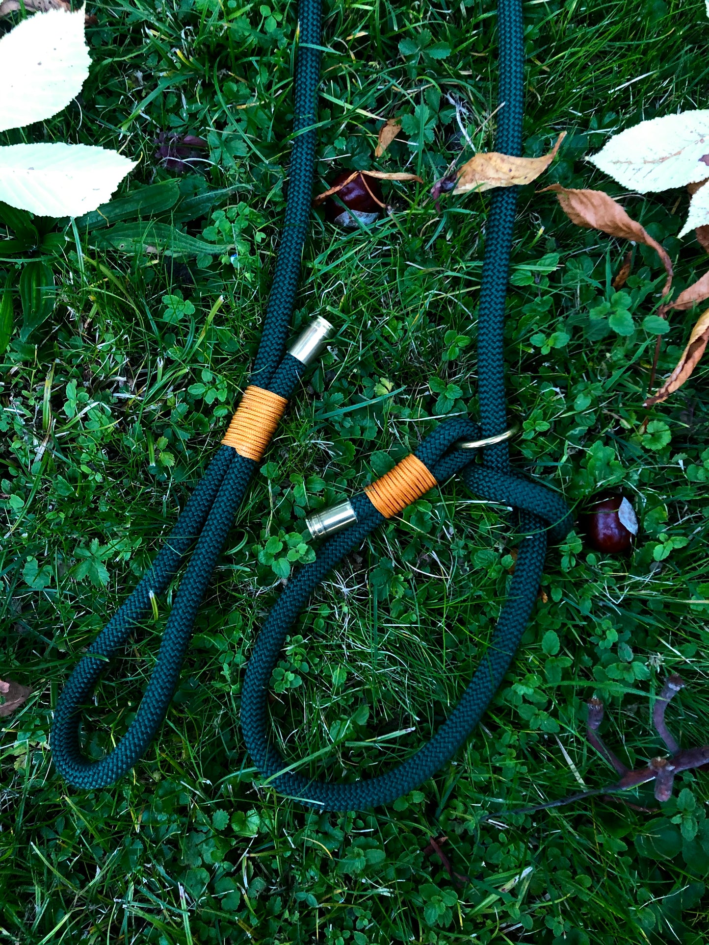 Leash With Collar