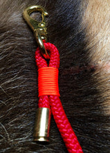 Load image into Gallery viewer, Carabiner Leash
